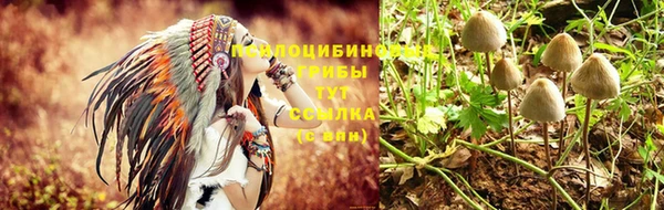мет Абинск